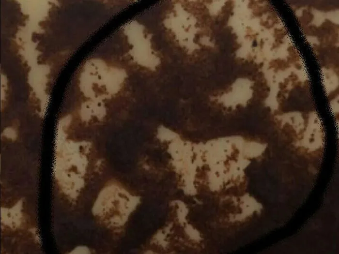 Запись на прием к гадалке в Ессентуках